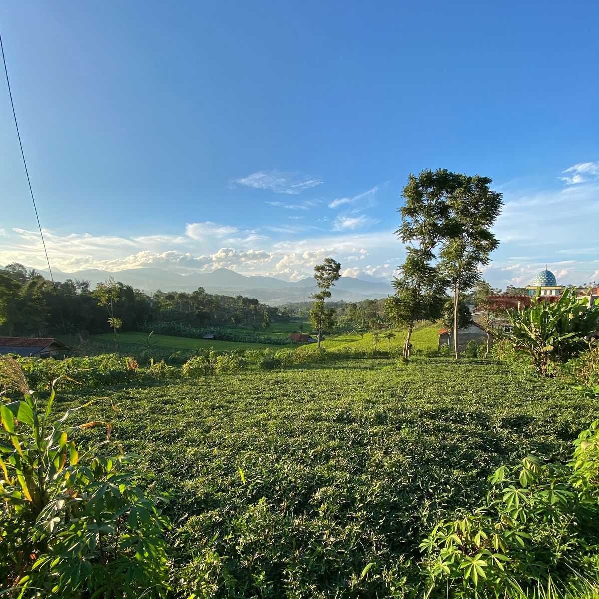 Pemandangan Desa Pamulihan